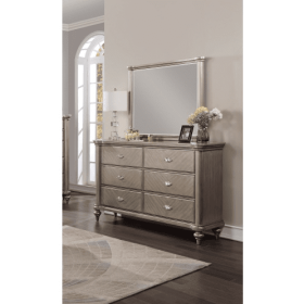 Luxury Antique Silver Champagne Finish Dresser W Mirror Storage Space Drawers Bedroom Furniture